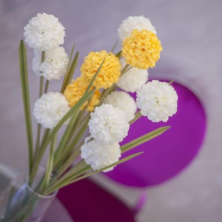 בודווה Luxury Boutique Studio Apartments מראה חיצוני תמונה